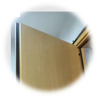 STC 40+ 3 DB Porte insonorisée pour l'intimité et le confort dans les bâtiments résidentiels